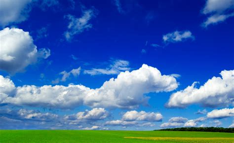 Clear Sky and greenery